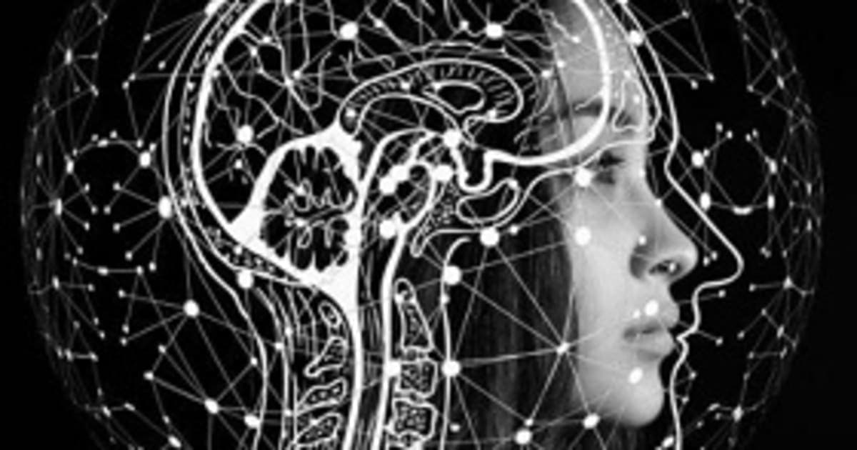Les Biais Cognitifs : Comprendre, Identifier et Surmonter les Distorsions de Jugement