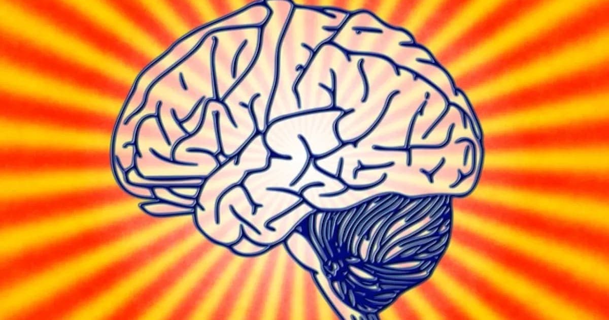 Quand le cerveau est face au traumatisme : Mécanismes, conséquences et pistes de guérison